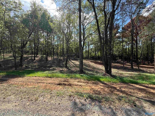 12 COUNTY RD 1123, VINEMONT, AL 35179 - Image e68d777239eae6c571b6bb1331bf7fb0/1361829070