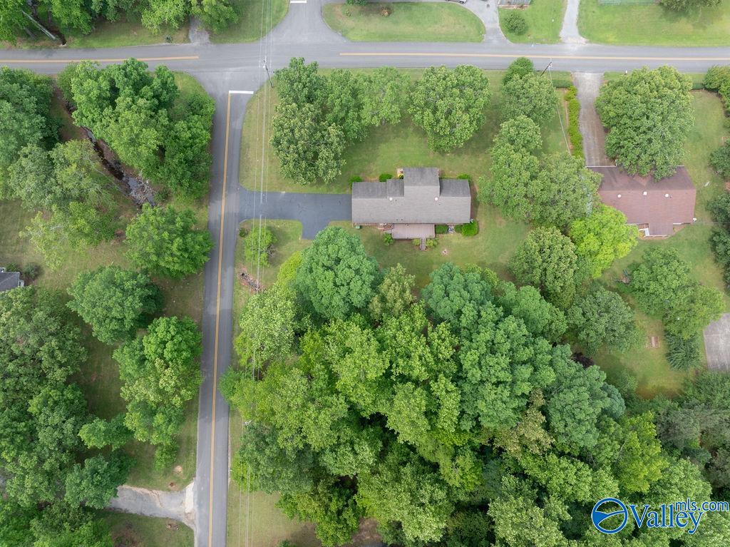 125 Harrison Street, Rainsville, Alabama image 20