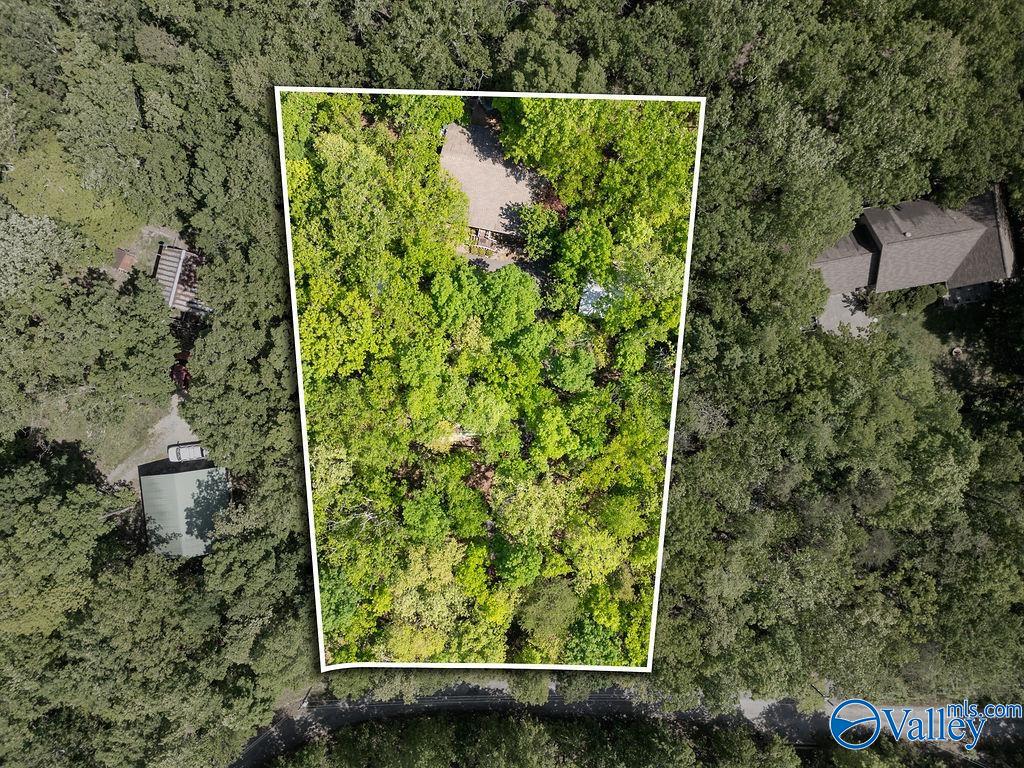 93 County Road 600, Mentone, Alabama image 41