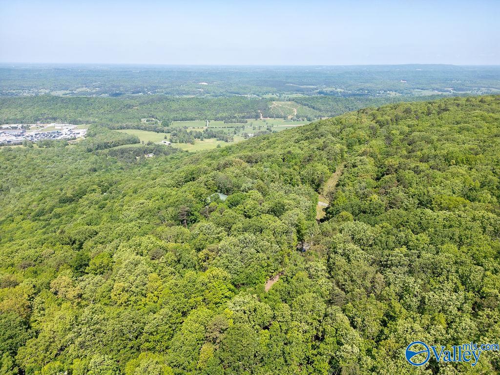 93 County Road 600, Mentone, Alabama image 39