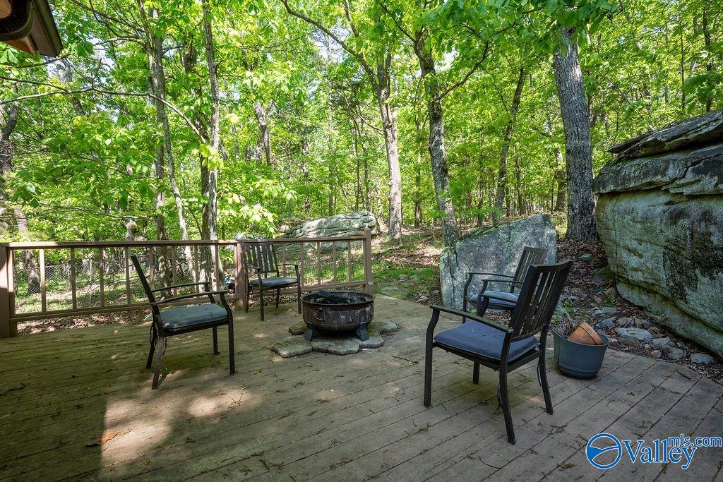 93 County Road 600, Mentone, Alabama image 26