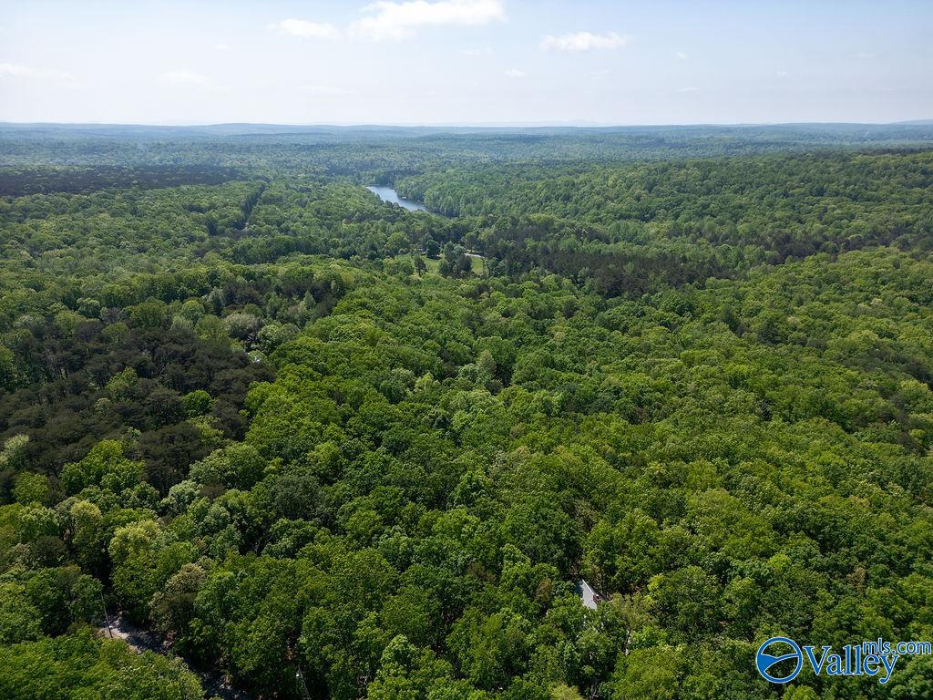 93 County Road 600, Mentone, Alabama image 38