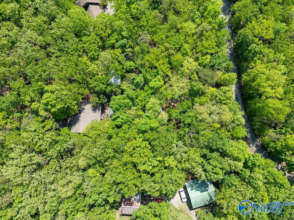 93 County Road 600, Mentone, Alabama image 37