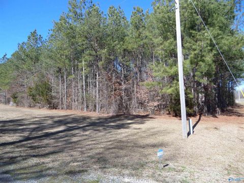 Vacant Land For Sale - 2225 County Road 55<br/> Cherokee County, Centre, AL 35960
