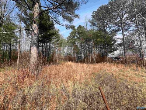 Vacant Land For Sale - LOT 128 Spring Creek Campground<br/> Cherokee County, Centre, AL 35960