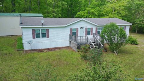 Mobile Home For Sale - 3599 Highway 117<br/> Dekalb County, Mentone, AL 35984
