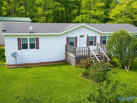 Mobile Home For Sale - 3599 Highway 117<br/> Dekalb County, Mentone, AL 35984