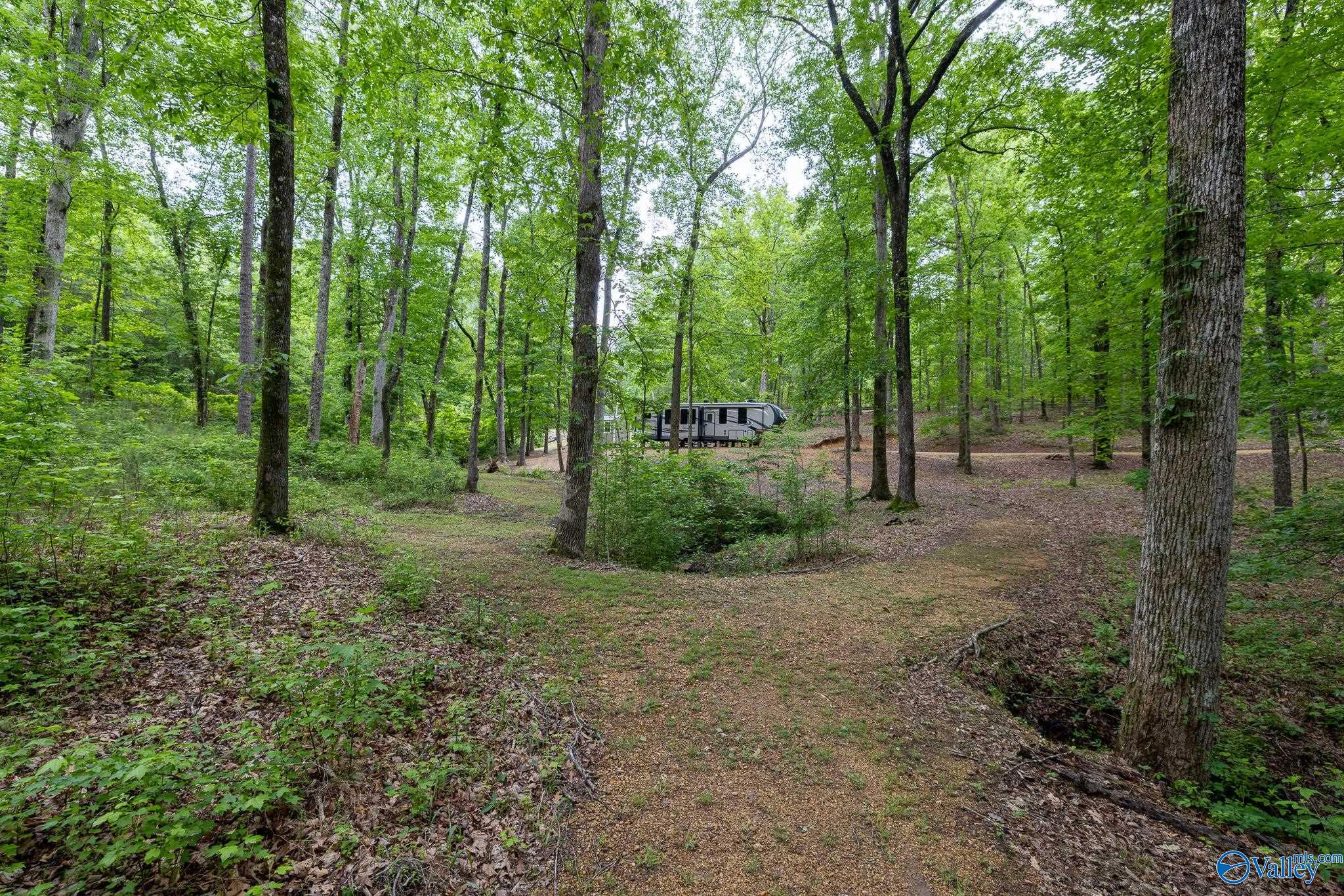 3840 County Road 57, Brilliant, Alabama image 37