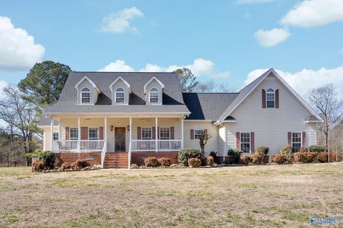 Photo of 3378 County Road 33, Fyffe, AL 35986 (MLS # 21916975)