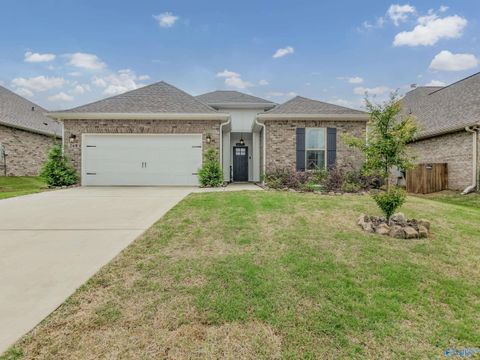 Homes For Sale - 260 John Harold Drive<br/> Meridianville, AL 35759