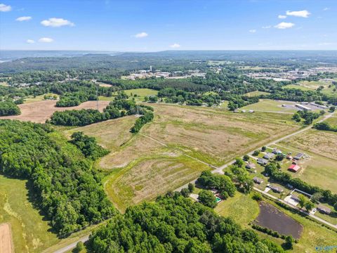 Vacant Land For Sale - 50 AC Pleasant Hill Road<br/> Guntersville, AL 35976