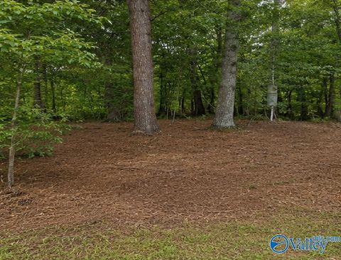 Vacant Land For Sale - 491 County Road # 65<br/> Cherokee County, Centre, AL 35960