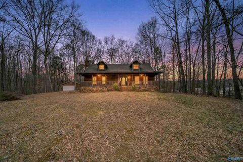 Photo of 14077 Highway 231 S, Union Grove, AL 35175 (MLS # 21910968)