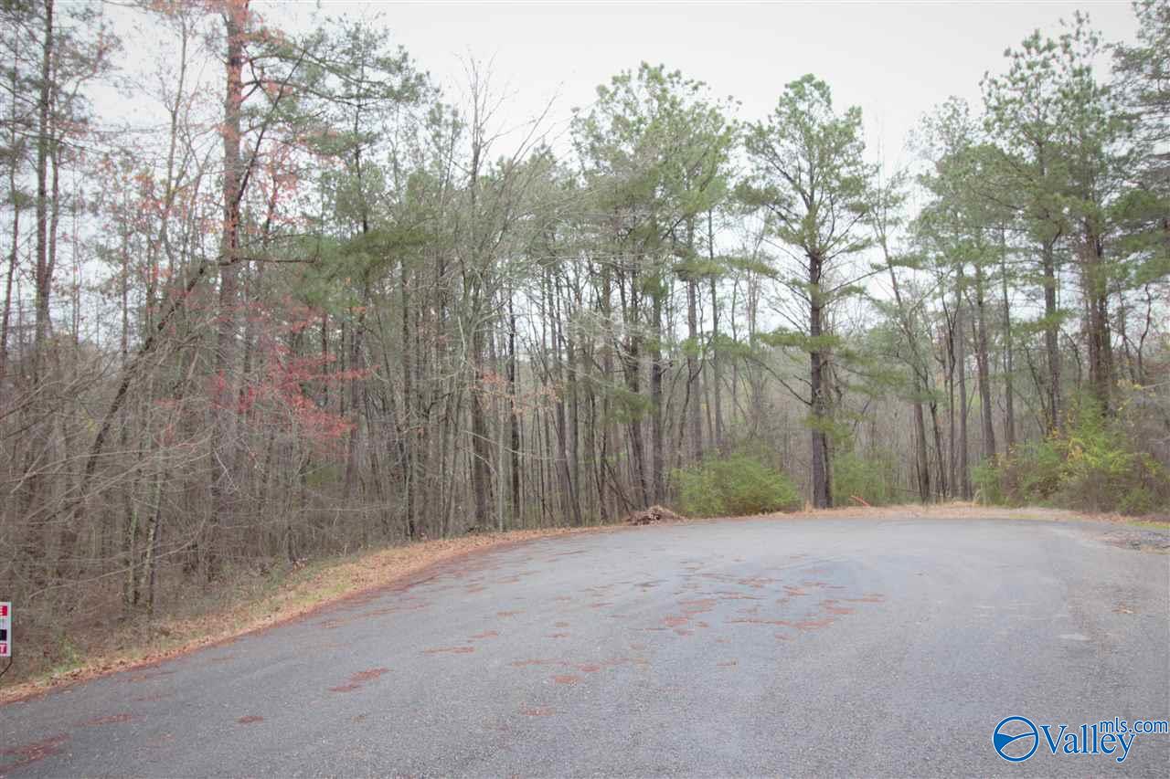 01 Hill Street, Centre, Alabama image 1