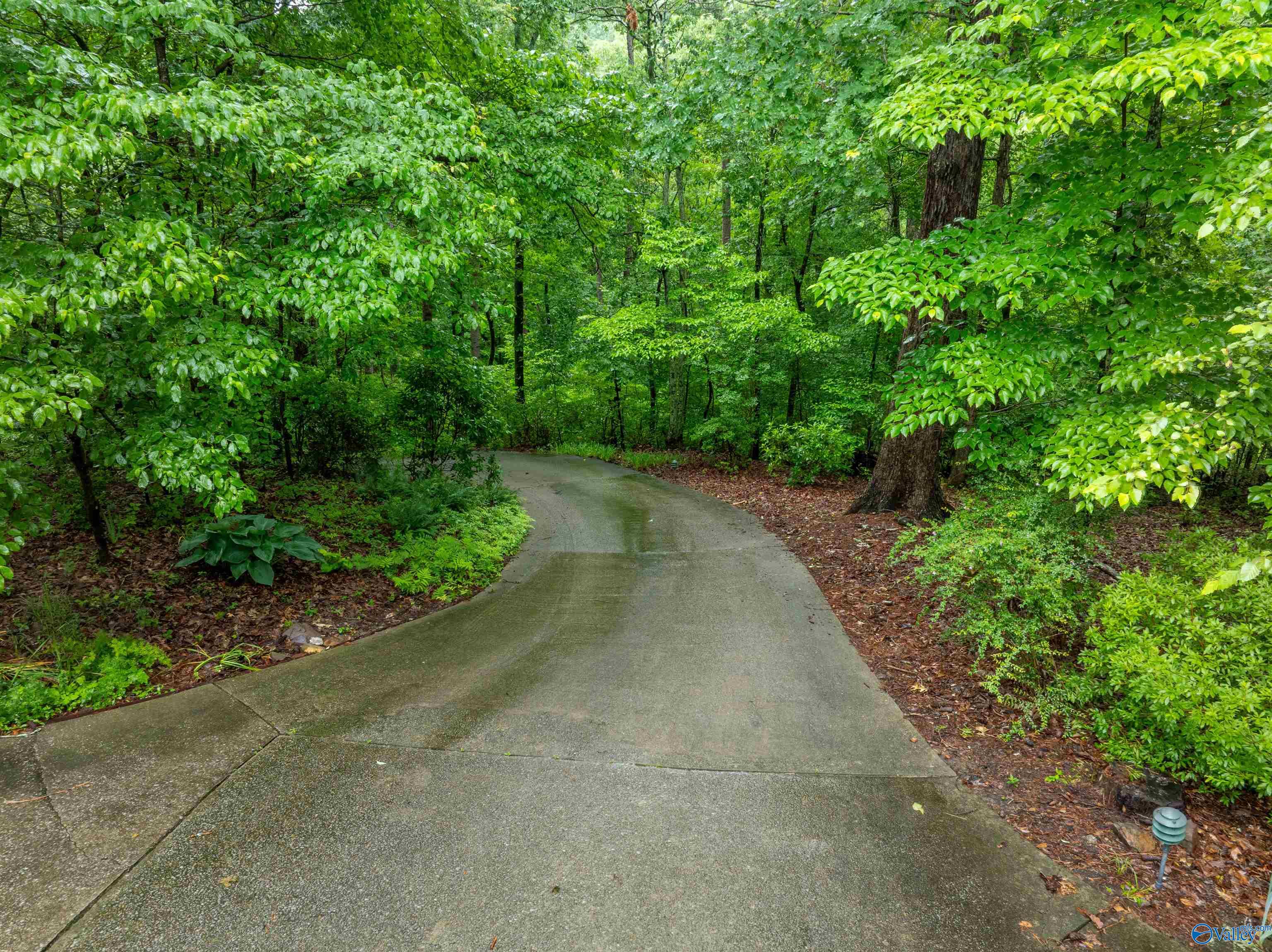 520 Mistletoe Hollow Road, Gadsden, Alabama image 43