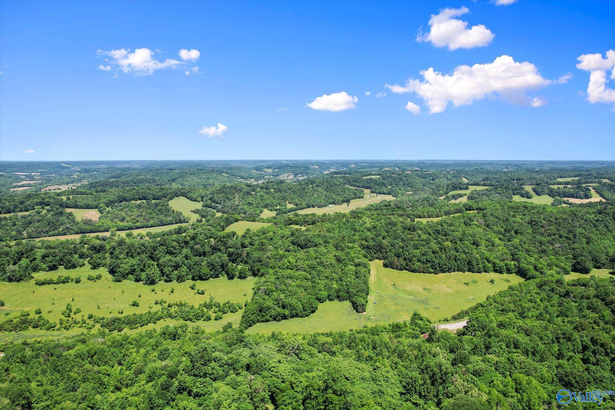 109 Carpenter Road, Dellrose, Tennessee image 6