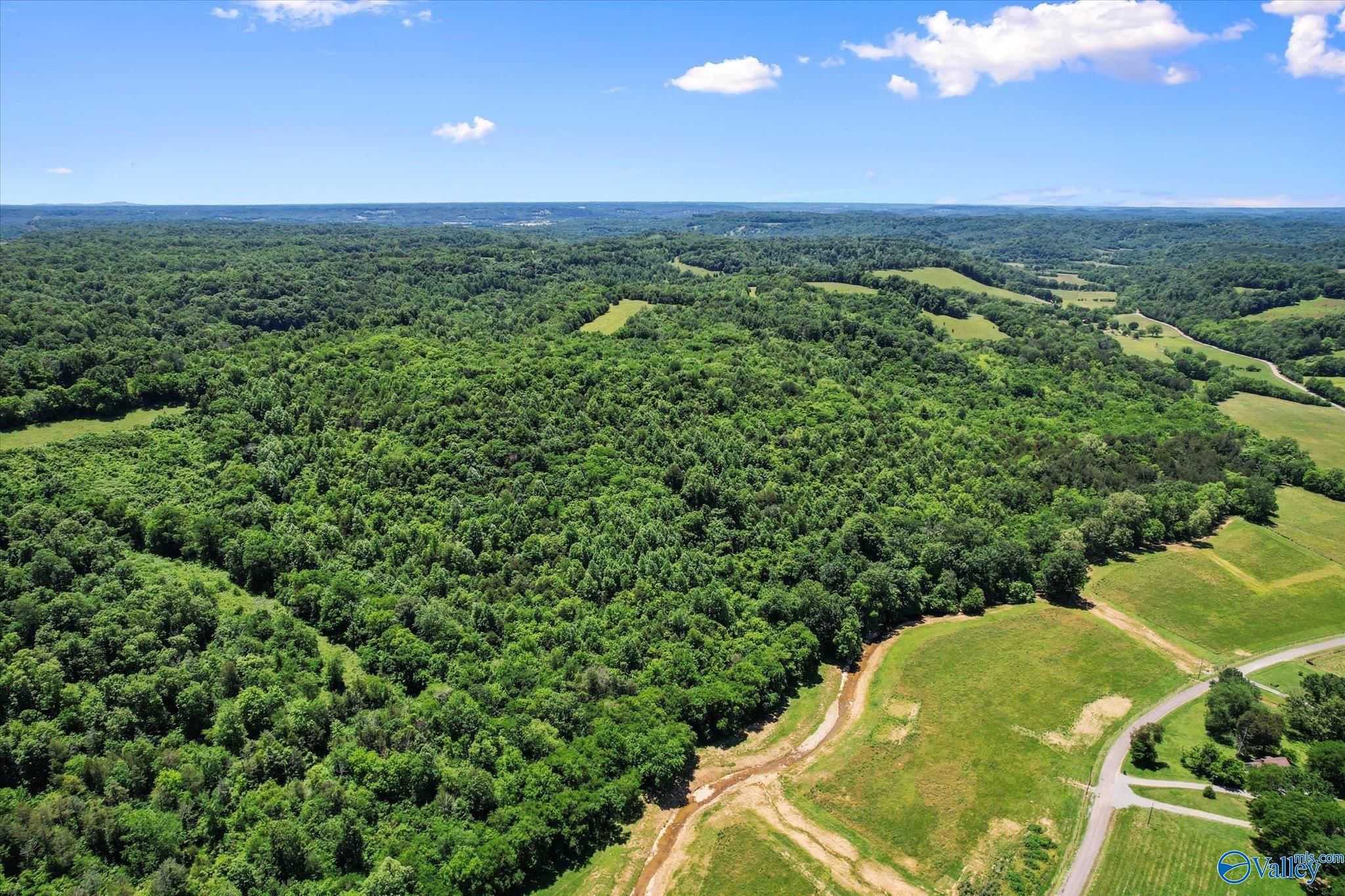 109 Carpenter Road, Dellrose, Tennessee image 12