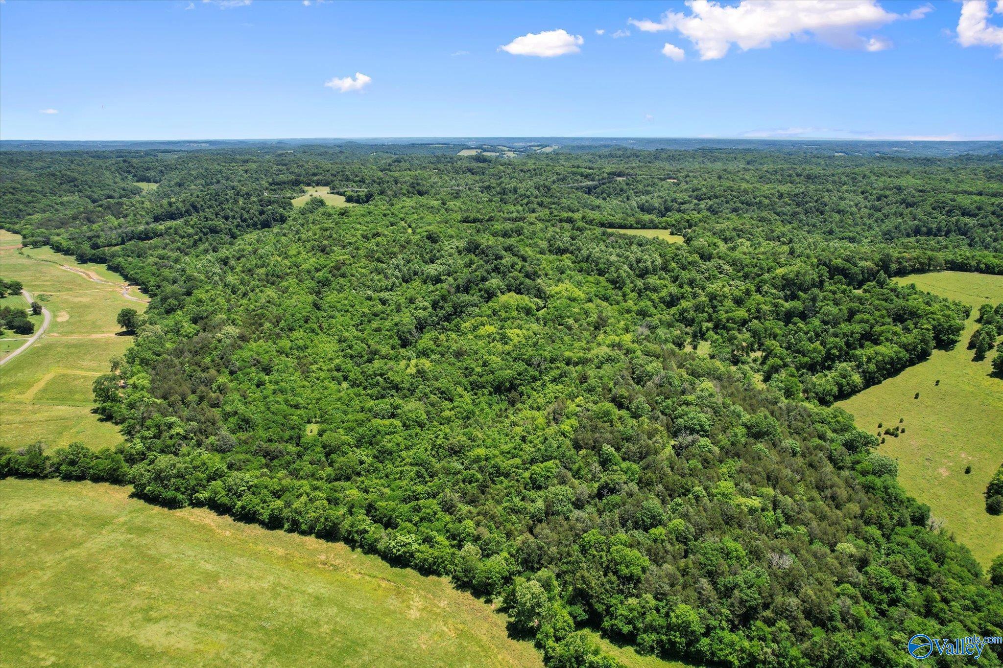 109 Carpenter Road, Dellrose, Tennessee image 22