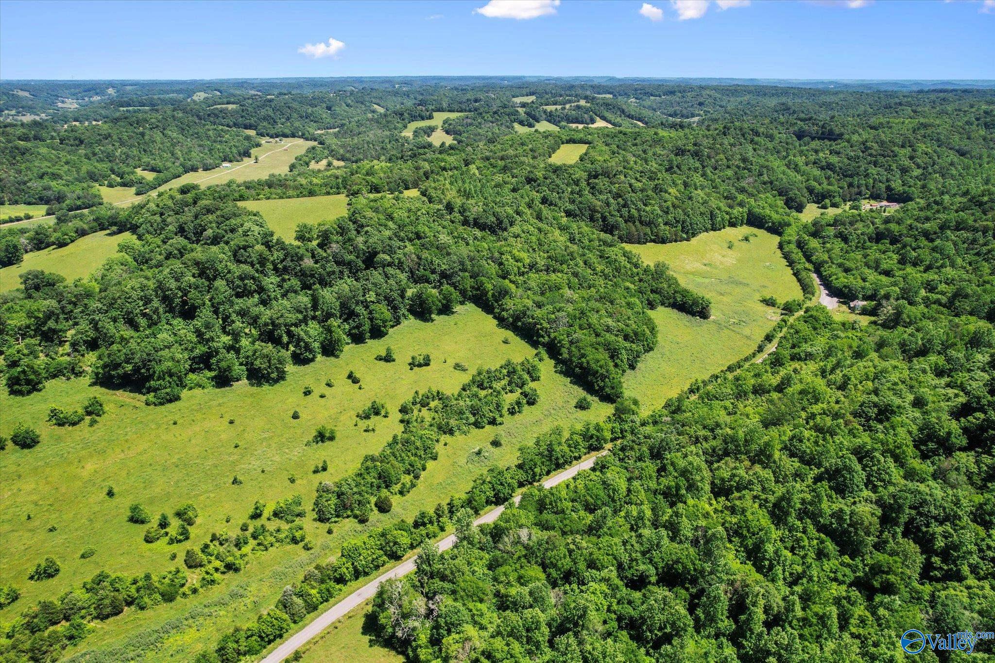 109 Carpenter Road, Dellrose, Tennessee image 17