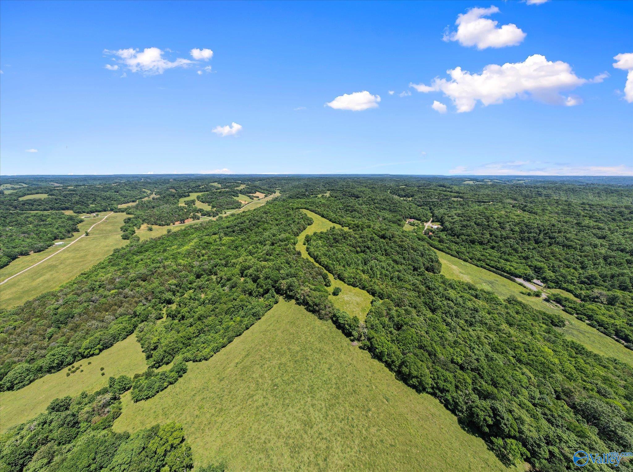 109 Carpenter Road, Dellrose, Tennessee image 16
