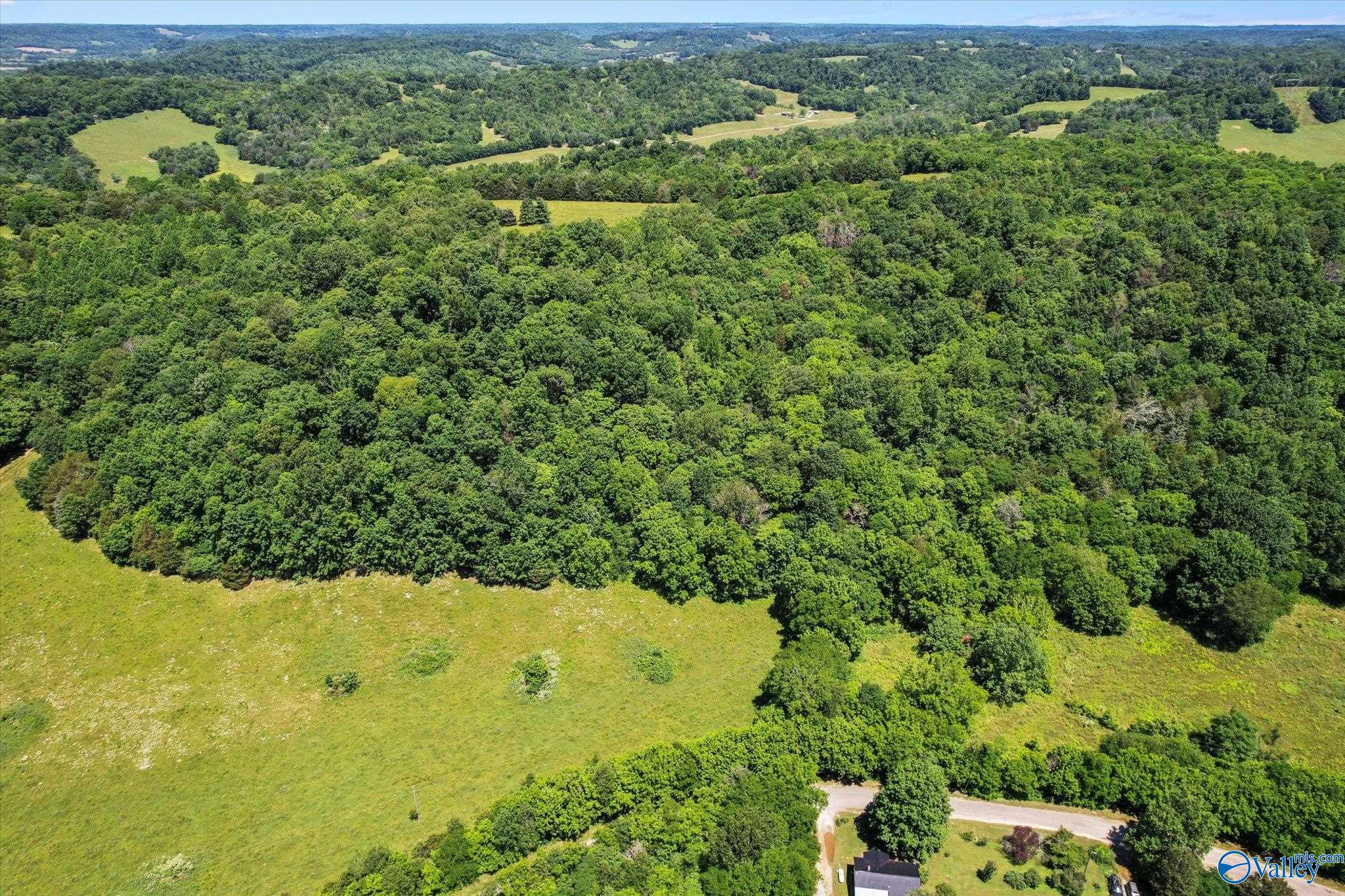 109 Carpenter Road, Dellrose, Tennessee image 13