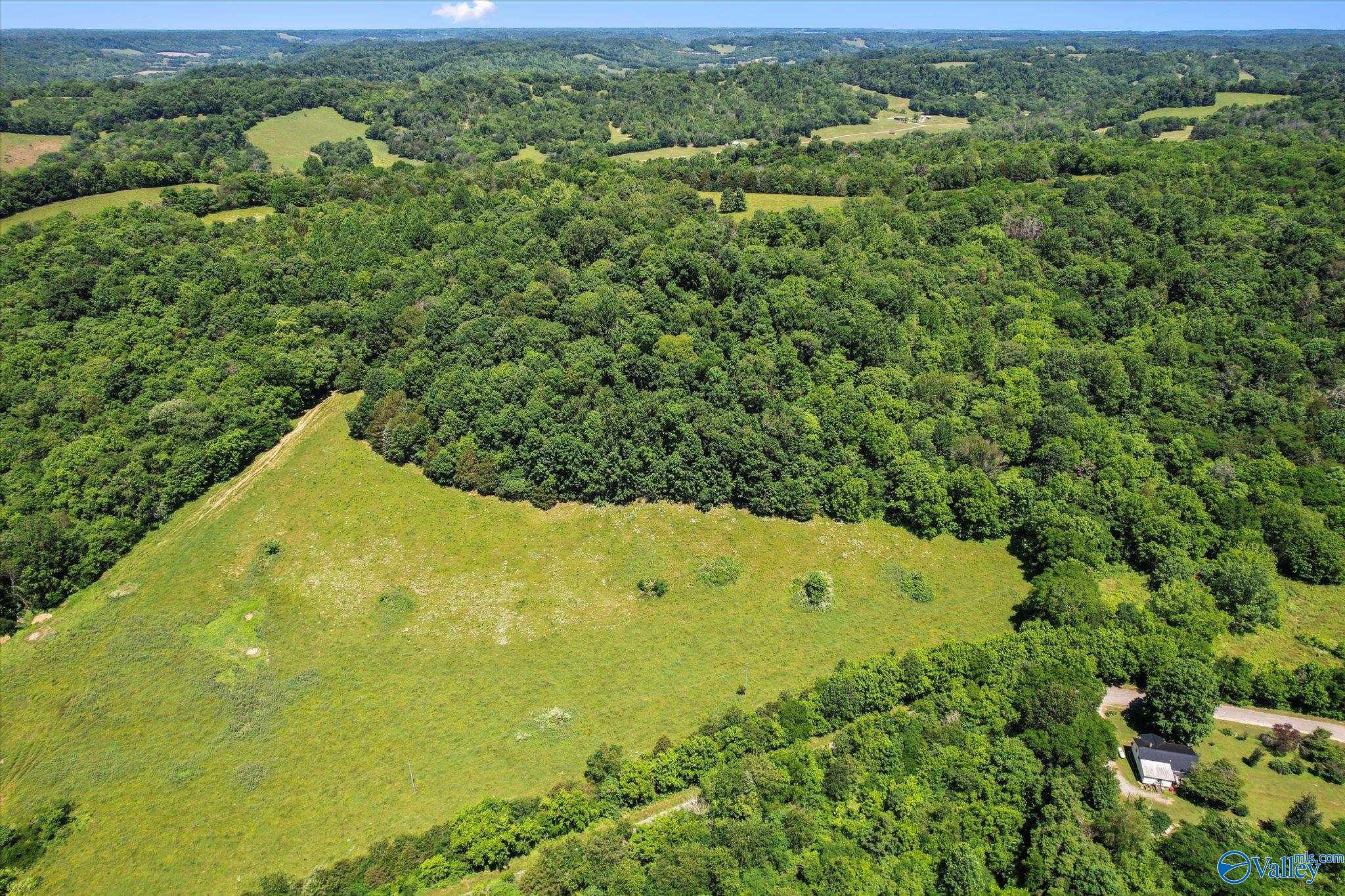 109 Carpenter Road, Dellrose, Tennessee image 15