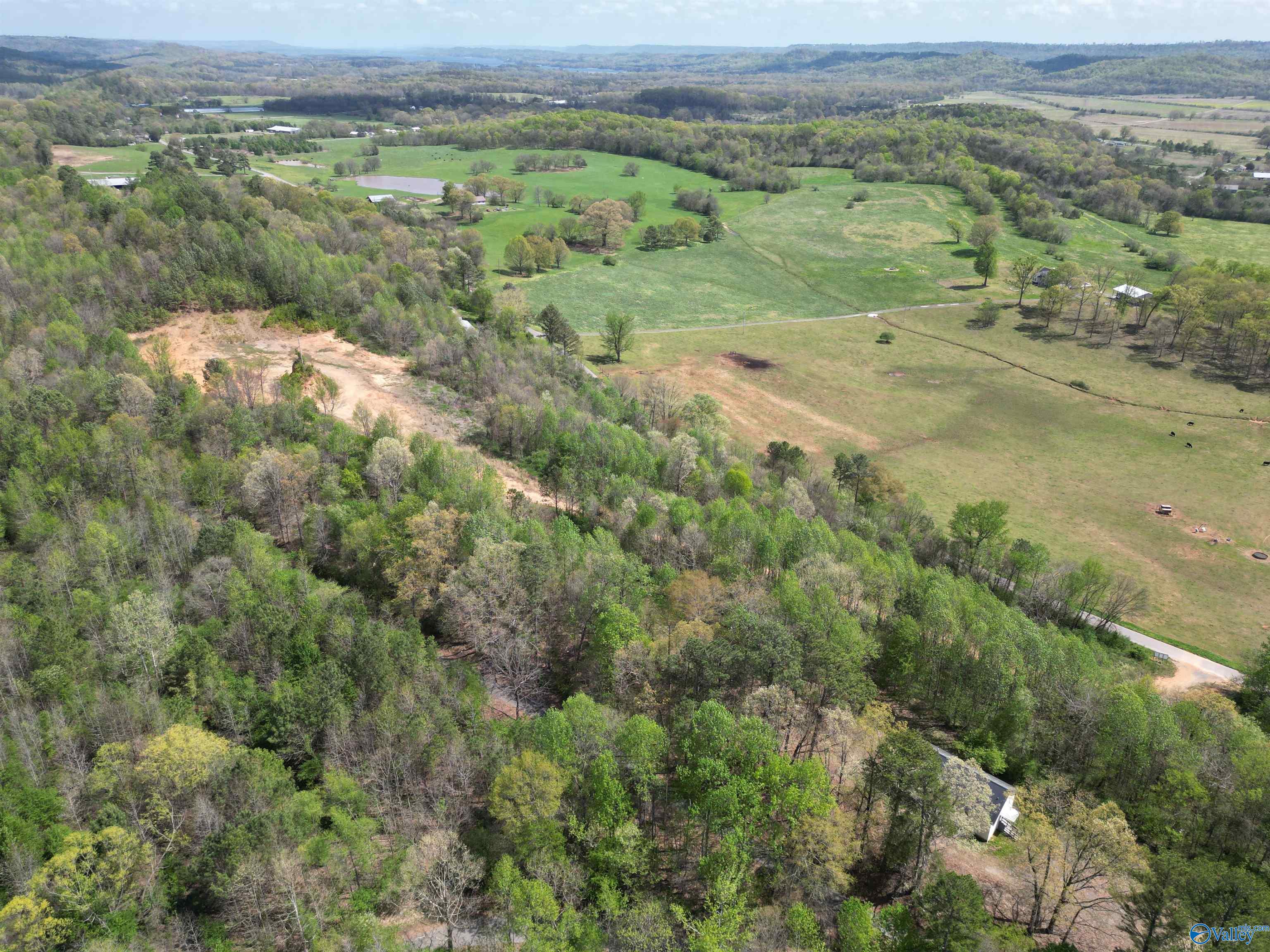 2958 Rock Hill Road, Guntersville, Alabama image 2