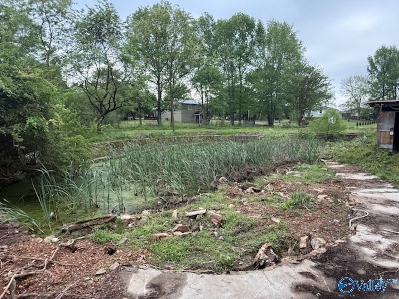 Lot 10 Friar Tuck Way, Fyffe, Alabama image 8