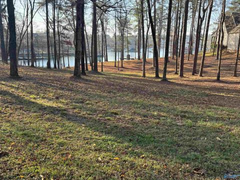 Vacant Land For Sale - 1190 County Road 175<br/> Crane Hill, AL 35053