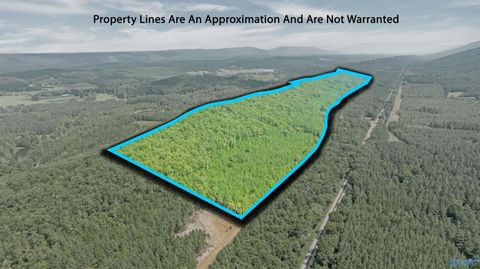Vacant Land For Sale - 13 County Road 759<br/> Valley Head, AL 35989