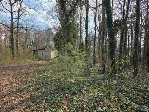 Vacant Land For Sale - 130 County Road 426<br/> Cherokee County, Centre, AL 35960