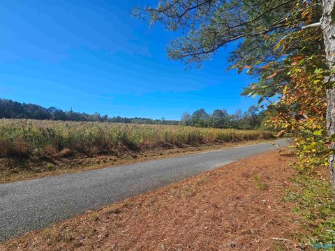 Homes For Sale - 009 County Road 70<br/> Cherokee County, Sand Rock, AL 35984