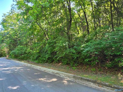 Vacant Land For Sale - 10146 Skylark Drive<br/> Huntsville, AL 35803