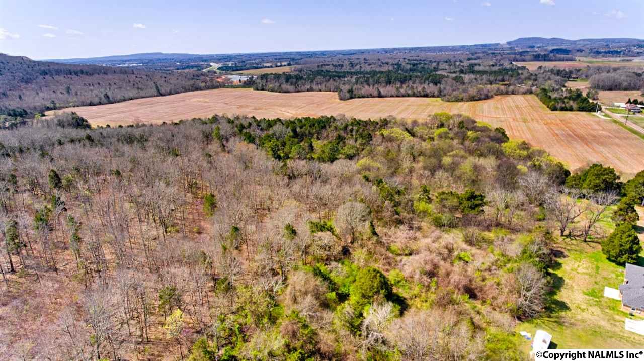 242 Acres NW Pulaski Pike, Huntsville, Alabama image 16