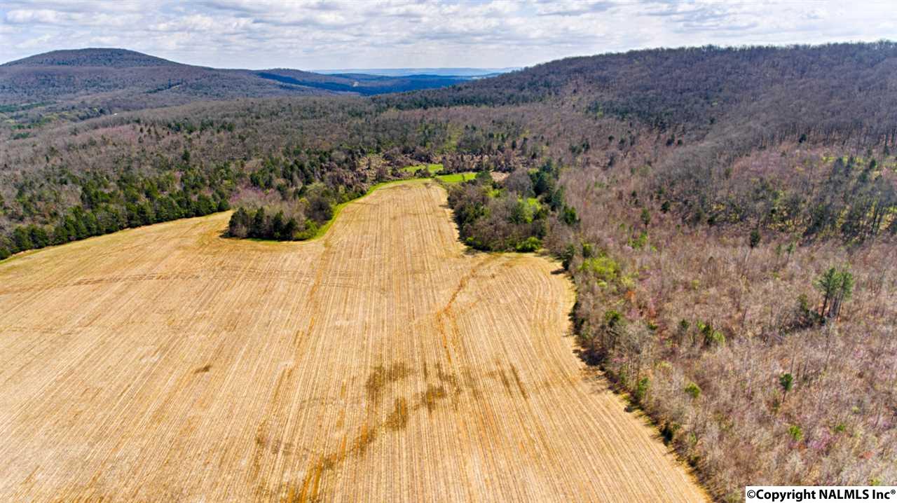 242 Acres NW Pulaski Pike, Huntsville, Alabama image 9