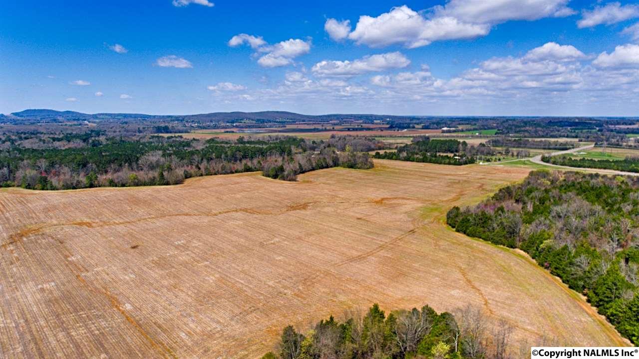 242 Acres NW Pulaski Pike, Huntsville, Alabama image 13