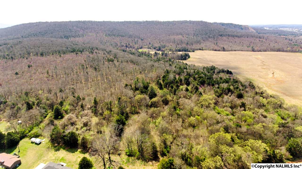 242 Acres NW Pulaski Pike, Huntsville, Alabama image 2