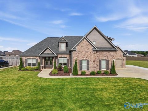 Homes For Sale - 105 Ellis Ridge Drive<br/> Meridianville, AL 35759