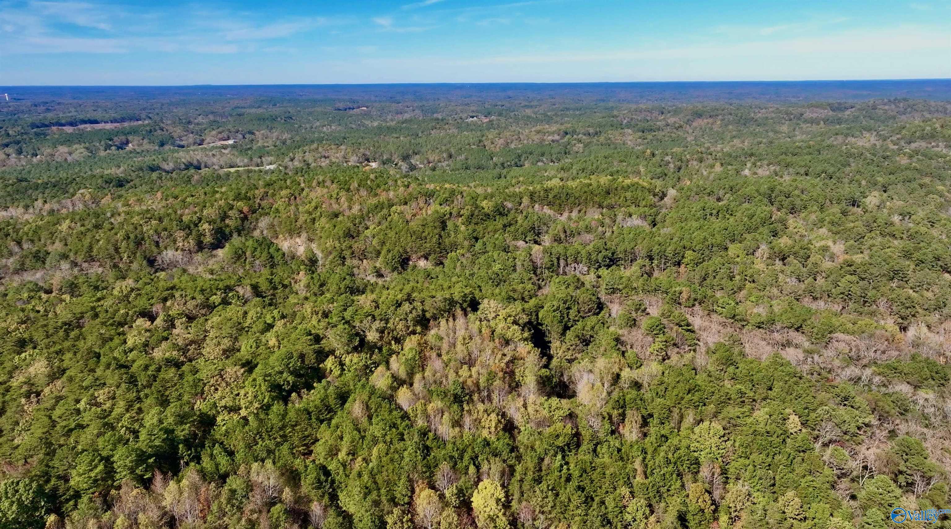 164 Acres Old Baltimore Road, Cordova, Alabama image 33