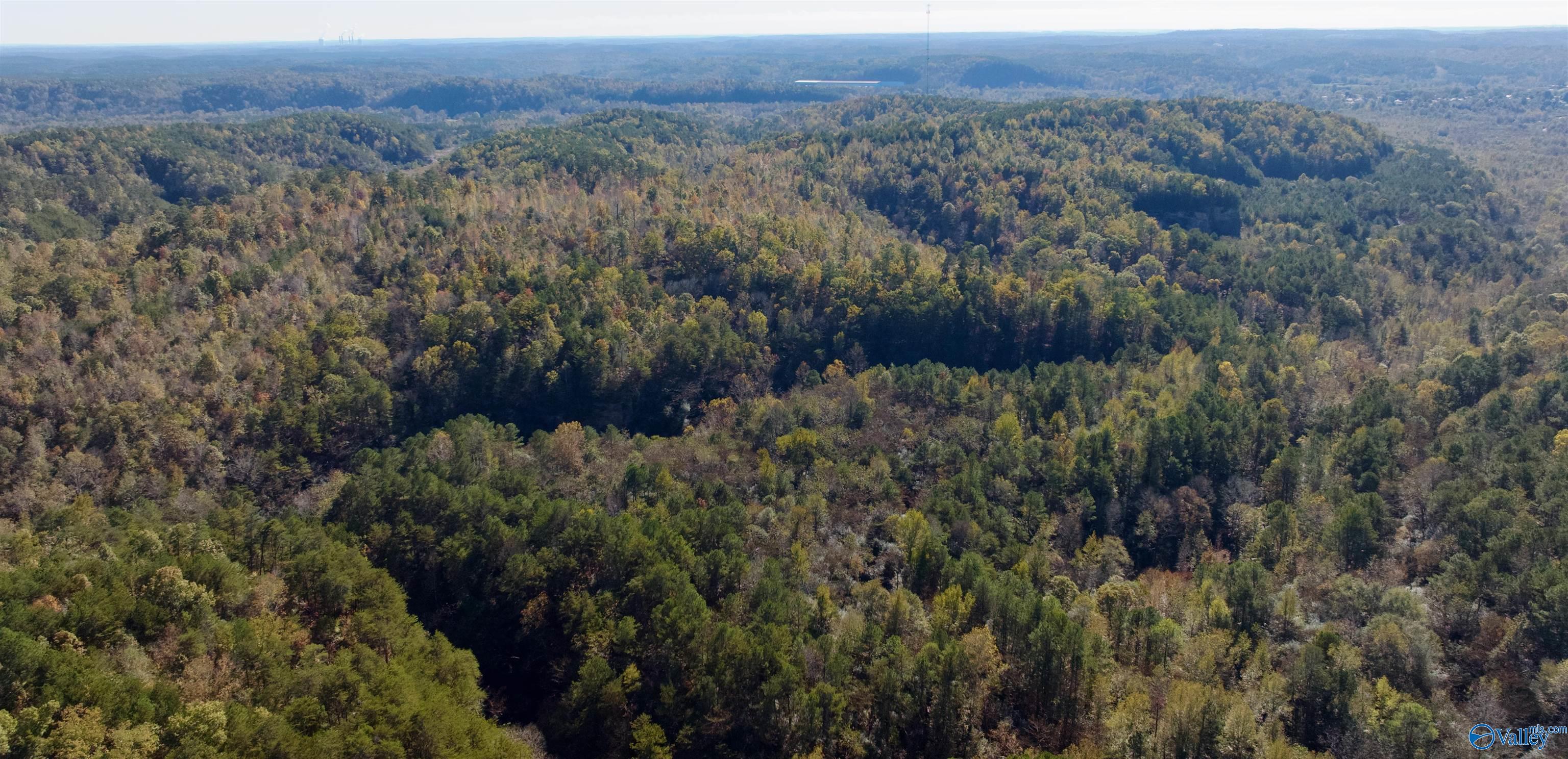 164 Acres Old Baltimore Road, Cordova, Alabama image 24