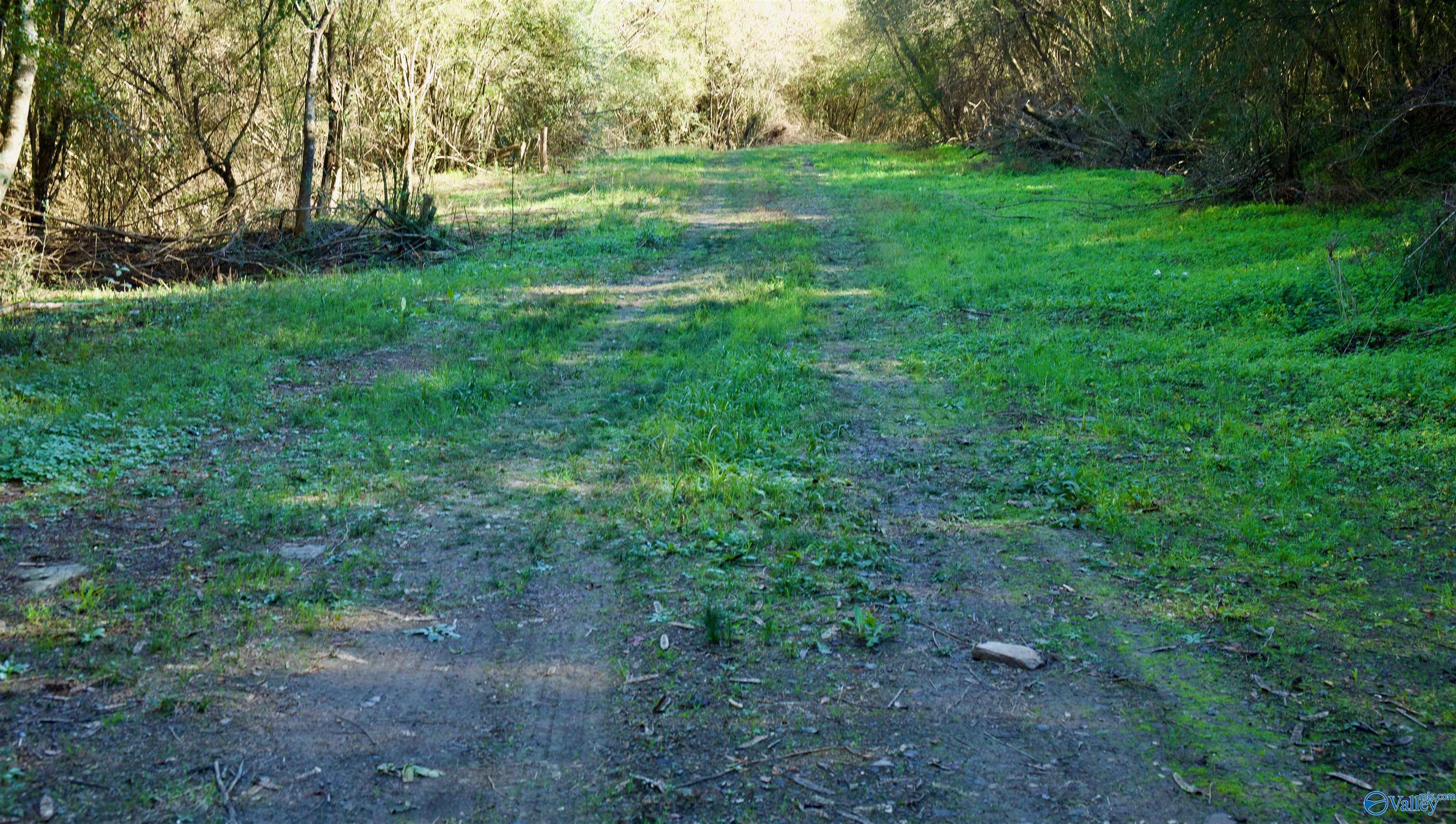 164 Acres Old Baltimore Road, Cordova, Alabama image 15