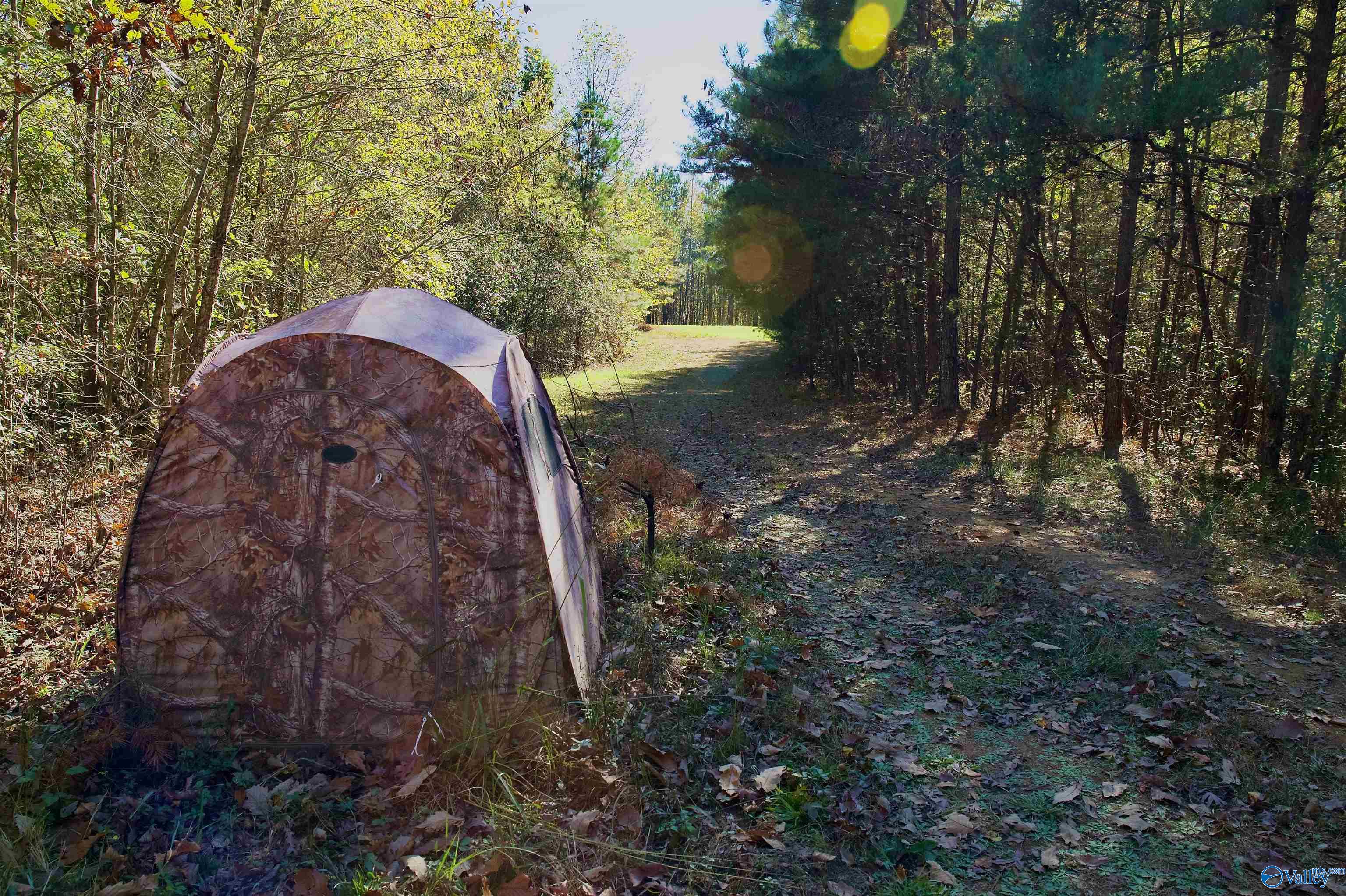 164 Acres Old Baltimore Road, Cordova, Alabama image 1