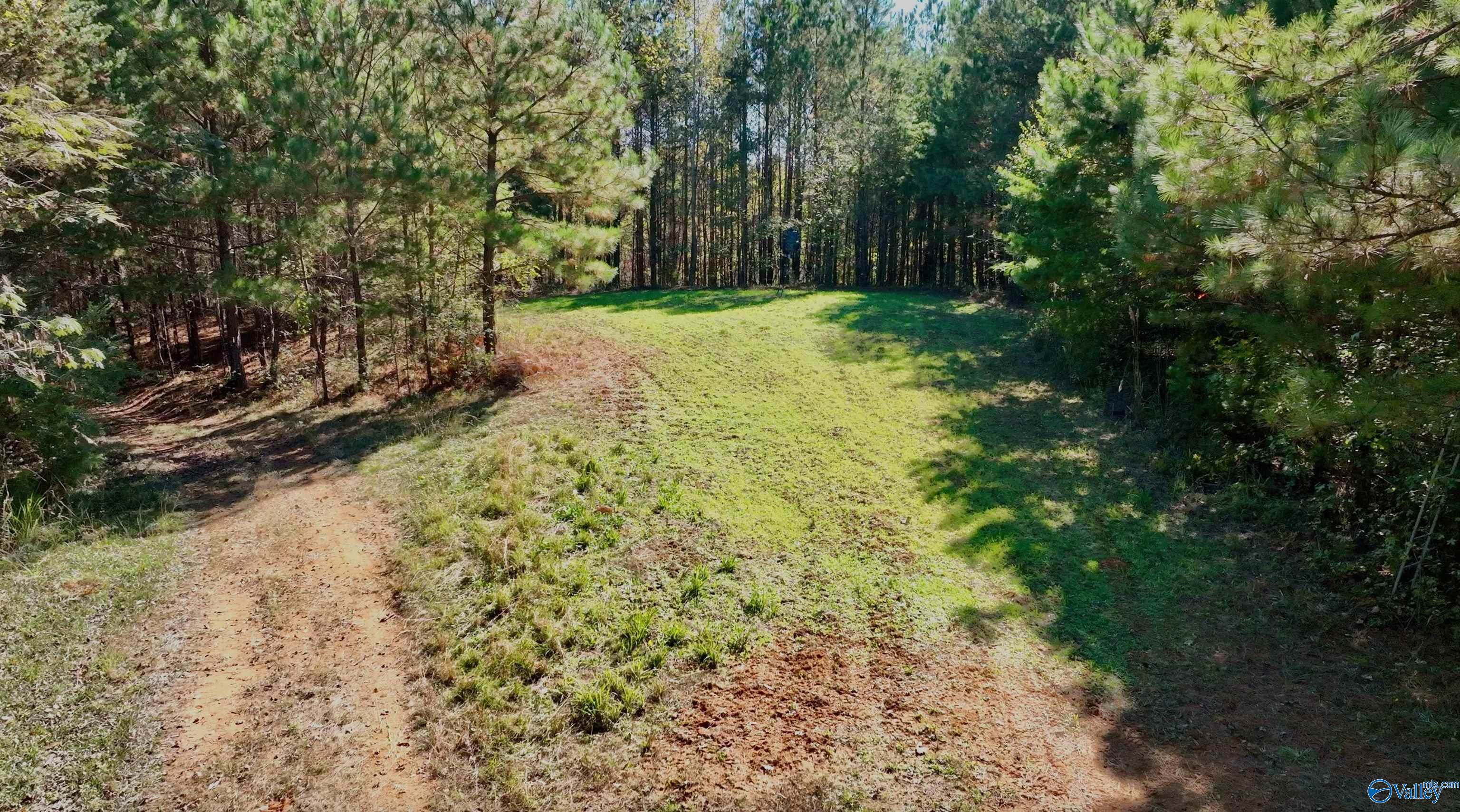 164 Acres Old Baltimore Road, Cordova, Alabama image 37