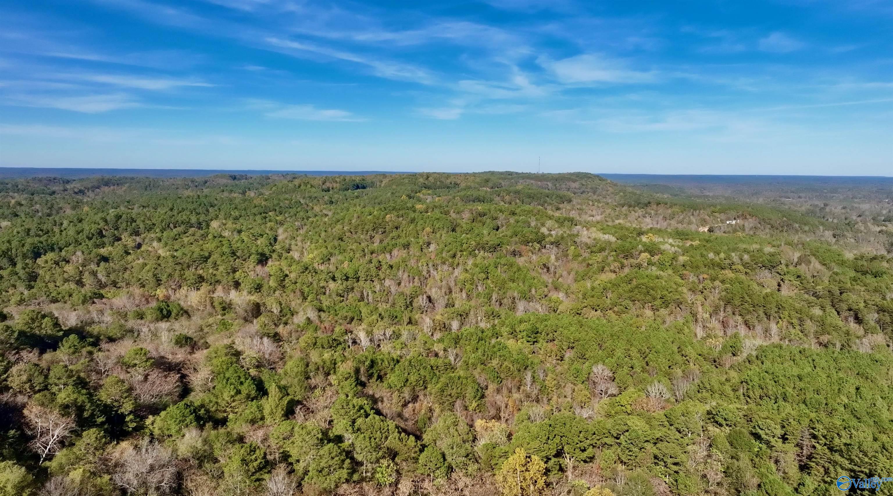 164 Acres Old Baltimore Road, Cordova, Alabama image 29