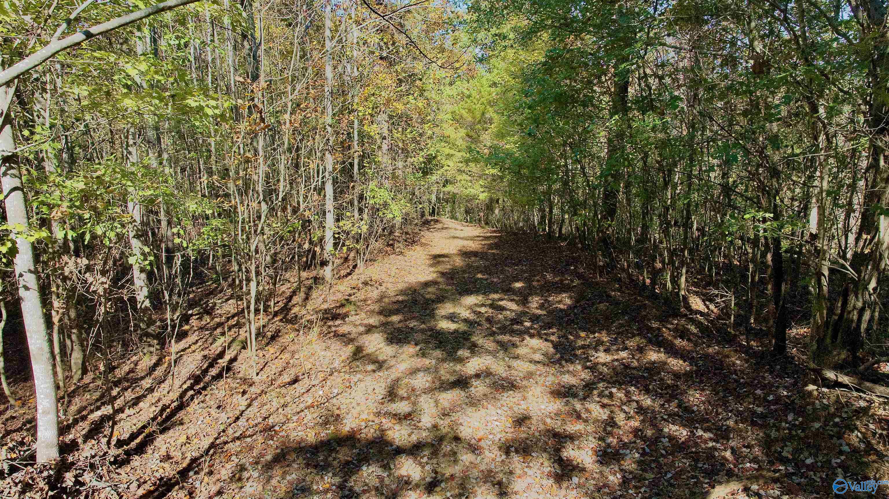 164 Acres Old Baltimore Road, Cordova, Alabama image 19