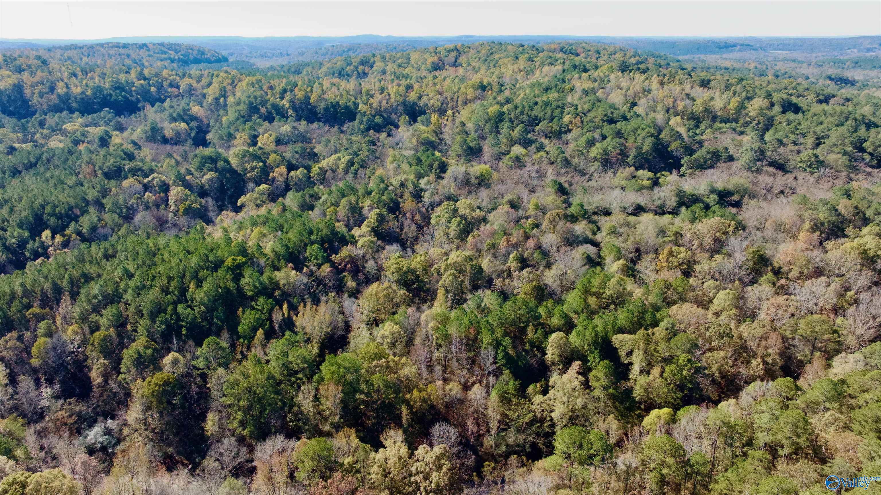 164 Acres Old Baltimore Road, Cordova, Alabama image 17