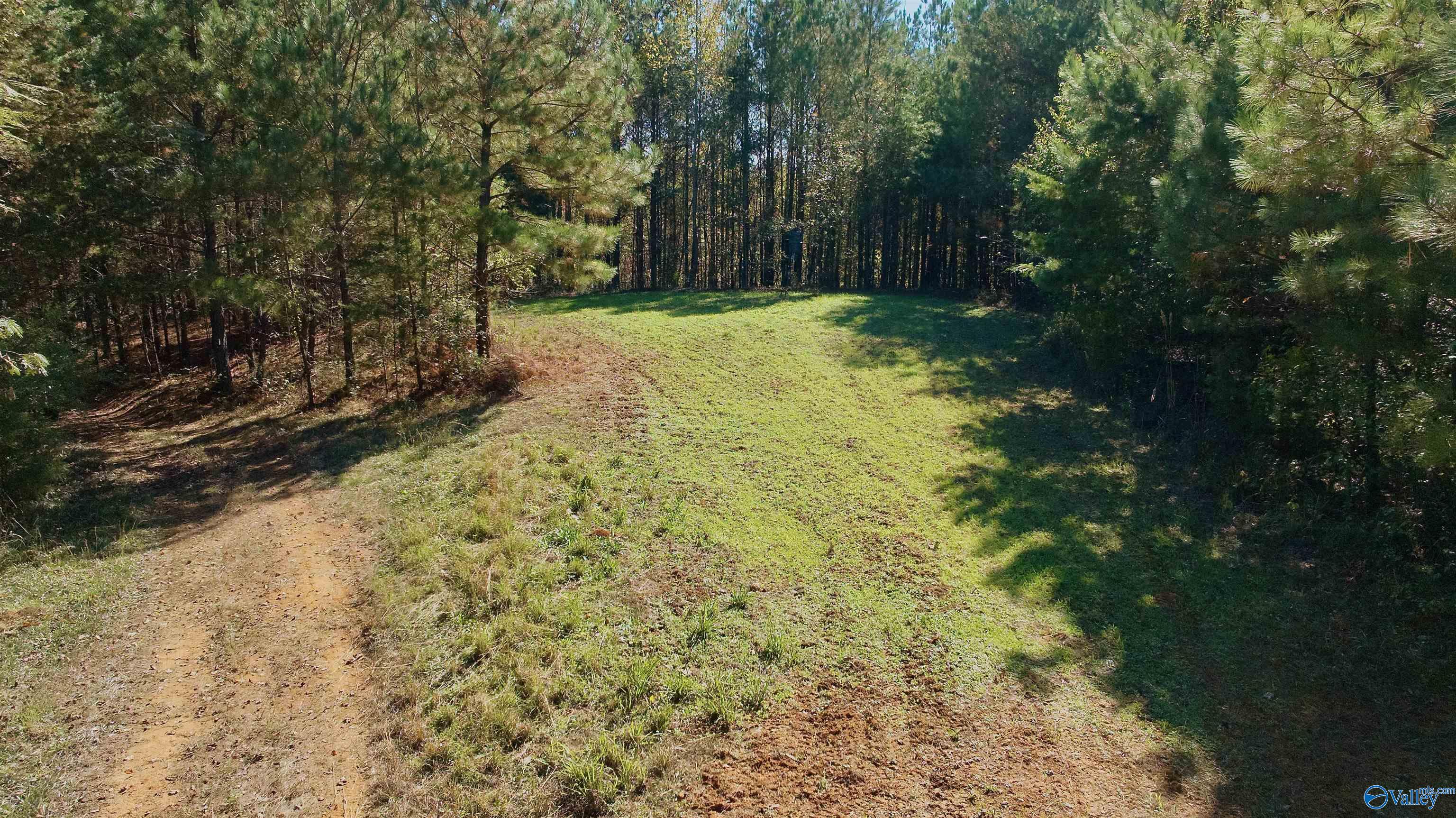 164 Acres Old Baltimore Road, Cordova, Alabama image 21