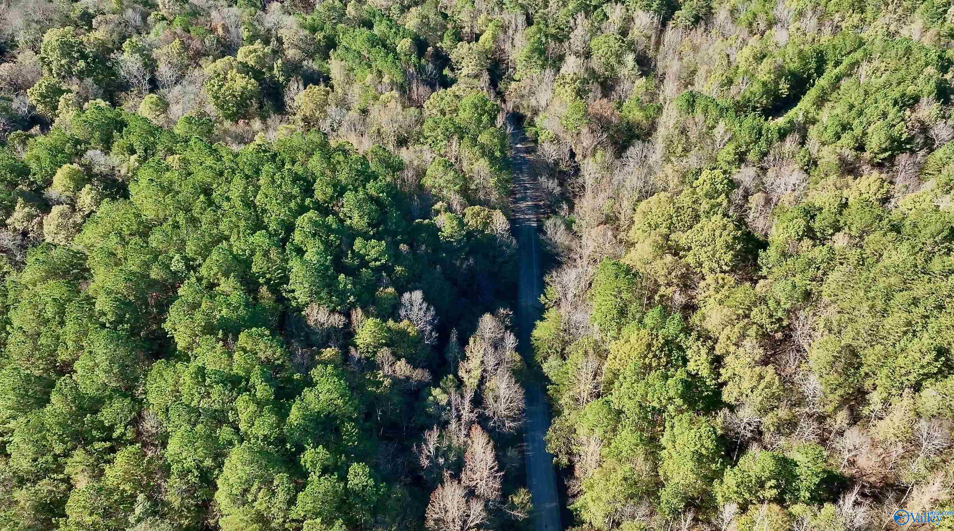 164 Acres Old Baltimore Road, Cordova, Alabama image 31