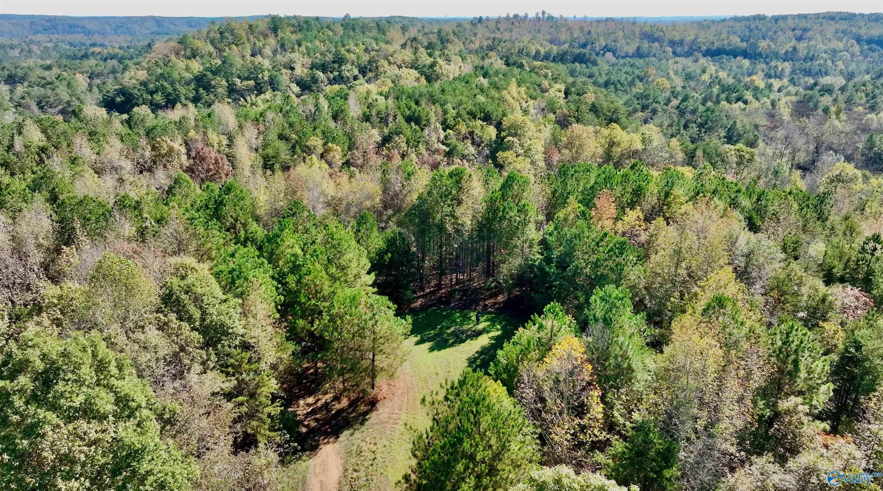 164 Acres Old Baltimore Road, Cordova, Alabama image 36