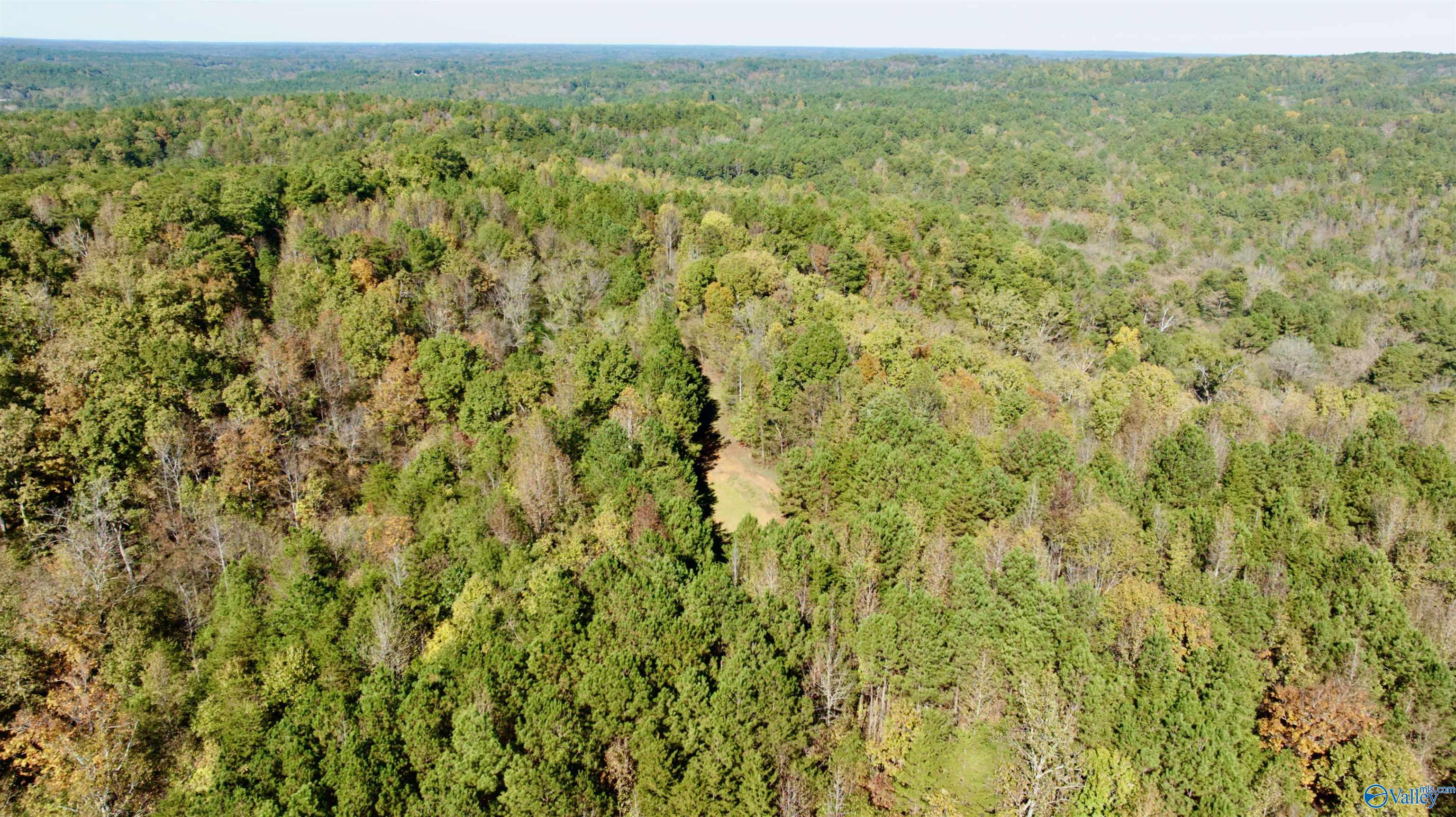 164 Acres Old Baltimore Road, Cordova, Alabama image 22